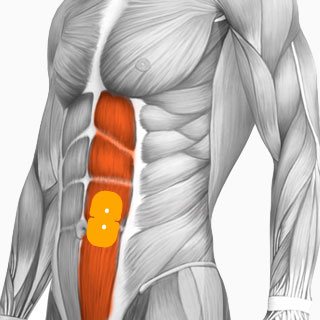 Trapezius Muscles Electrode Placement for Compex Muscle Stimulators 